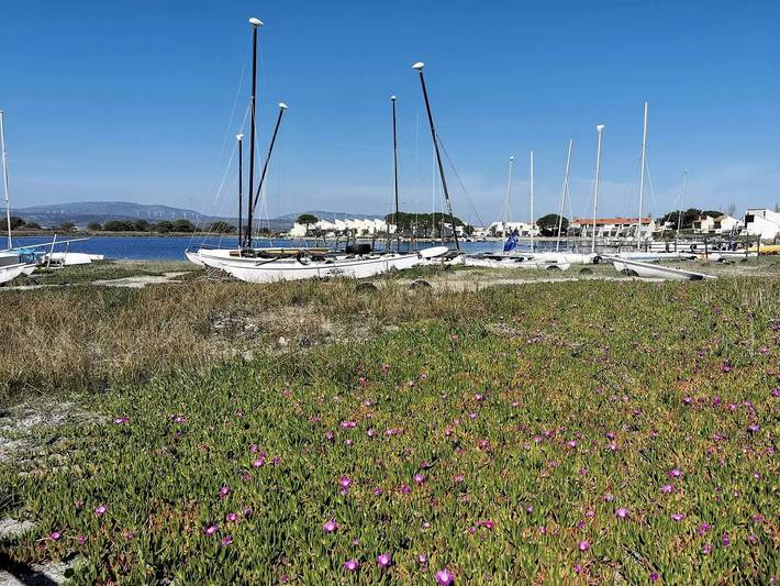 Villa für 6 Personen, mit Terrasse in Port Leucate - 2