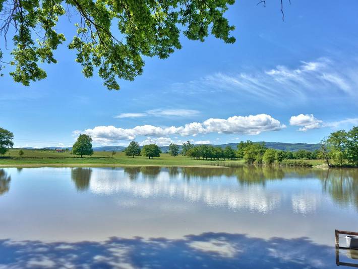 Gîte pour 14 personnes, avec sauna ainsi que terrasse et jardin, animaux acceptés dans la Loire - 4