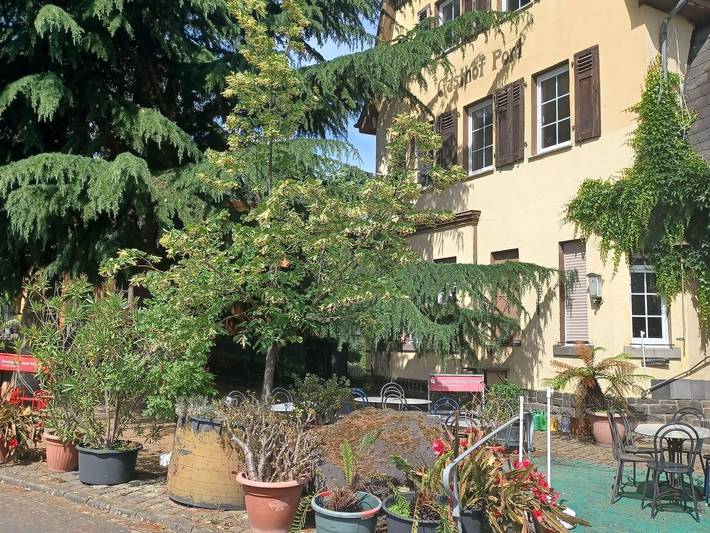 Ferienwohnung für 3 Personen, kinderfreundlich an der Burg Eltz - 2