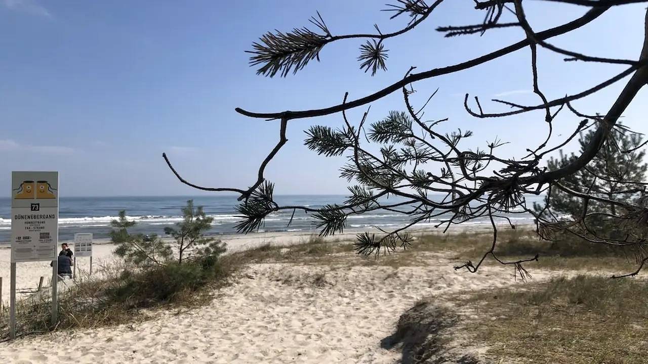 Ferienhaus für 6 Personen (67 m²) in Prora Auf Rügen in Strand Prora, Binz