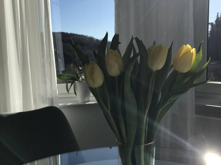 Ferienhaus für 4 Personen, mit Terrasse im Westerwald - 2