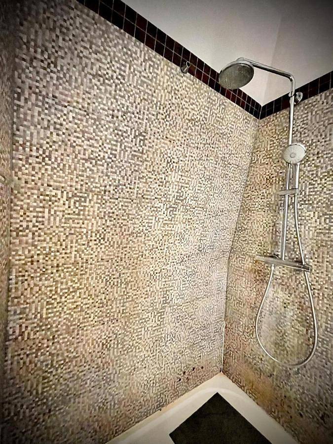 Gîte pour 4 personnes, avec terrasse à Quincy-sous-Sénart - 3