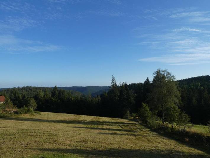 Gîte pour 4 personnes, avec vue ainsi que jardin et terrasse dans Kniebis - 3
