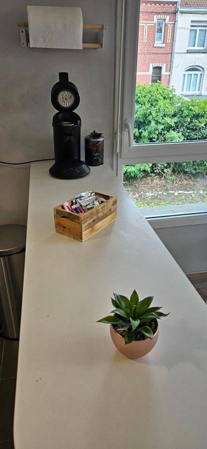 Appartement entier, Two-Bedroom Apartment in Saint-André-lez-Lille, Région de Lille