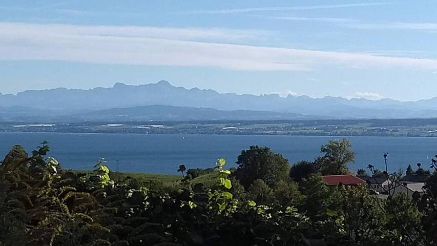 Maison d’hôte pour 4 personnes, avec vue et terrasse ainsi que vue sur le lac et jardin à Meersburg - 4