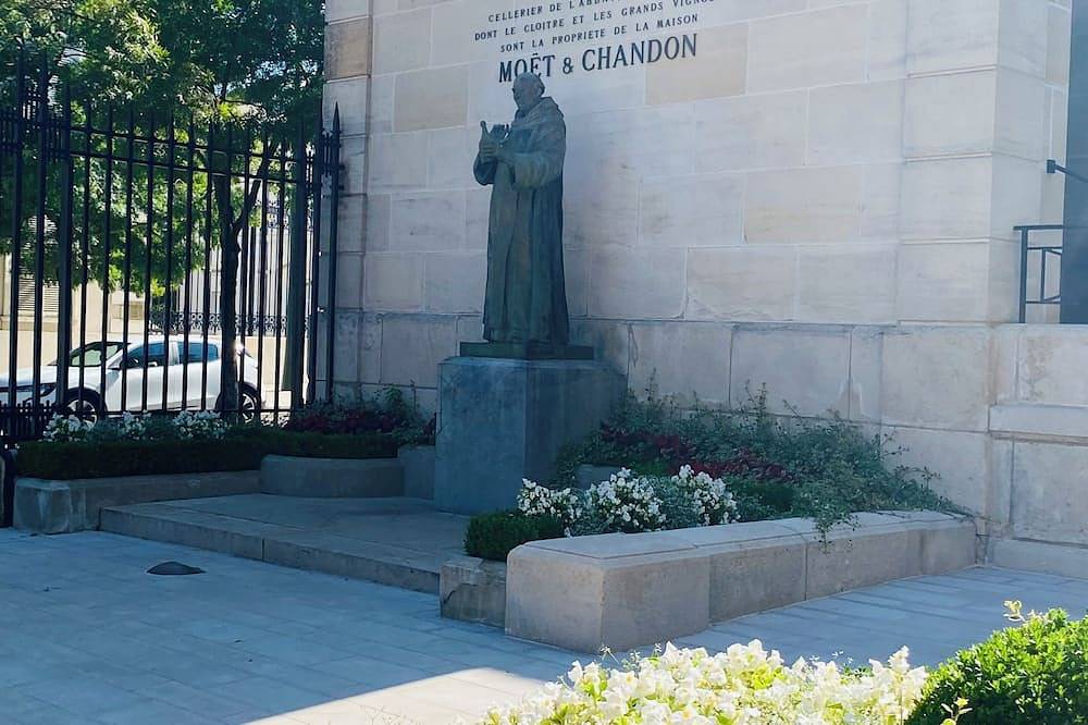 Ganze Wohnung, Petit Appartement à 200 m du Centre et des Maisons de Champagne Prestigieuses in Épernay, Marne
