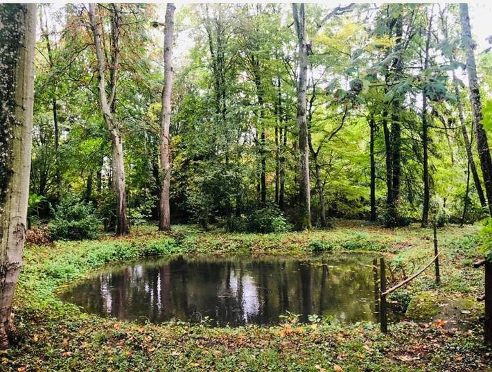 Location de vacances pour 4 personnes, avec jardin et vue à Suèvres - 3