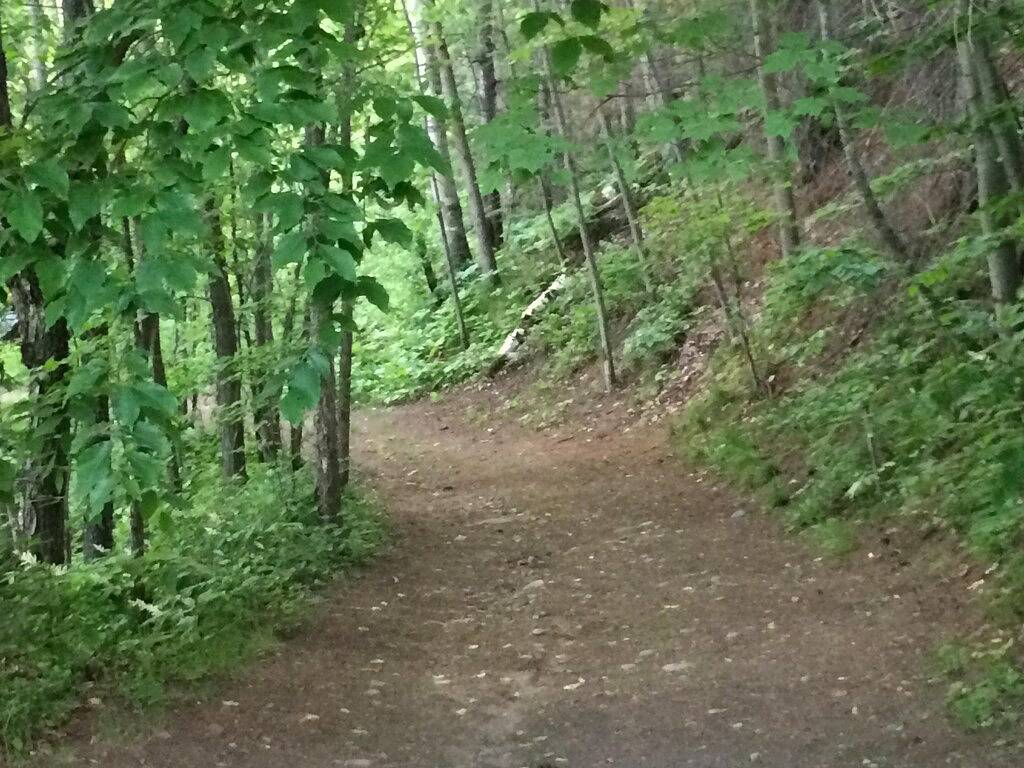 Ganze Wohnung, Rent-n-relax Oasis in Bancroft, Ontario