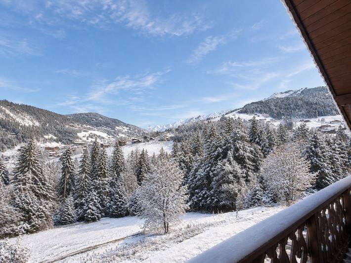 Appartement entier, Appartement spacieux proche pistes, 9-10 pers, animaux, WIFI in La Clusaz, Région d'Annecy