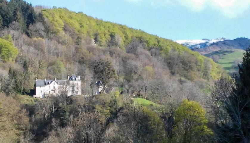Maison d’hôte pour 10 personnes, avec sauna et vue ainsi que piscine et jardin, animaux acceptés dans le Cantal - 4