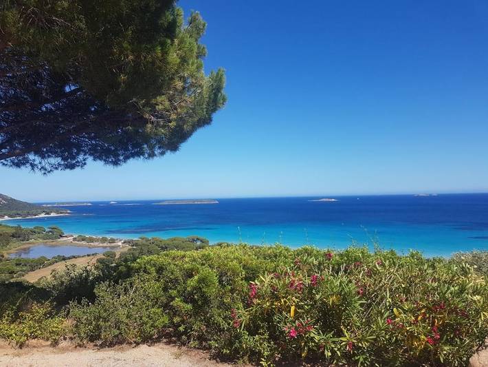 Maison de vacances pour 4 personnes, avec Terrasse ainsi que Jardin et Vue dans Palombaggia