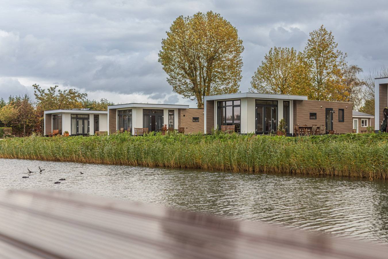 Cube Xl 73 | 4 persoons chalet in Zennewijnen in Betuwe