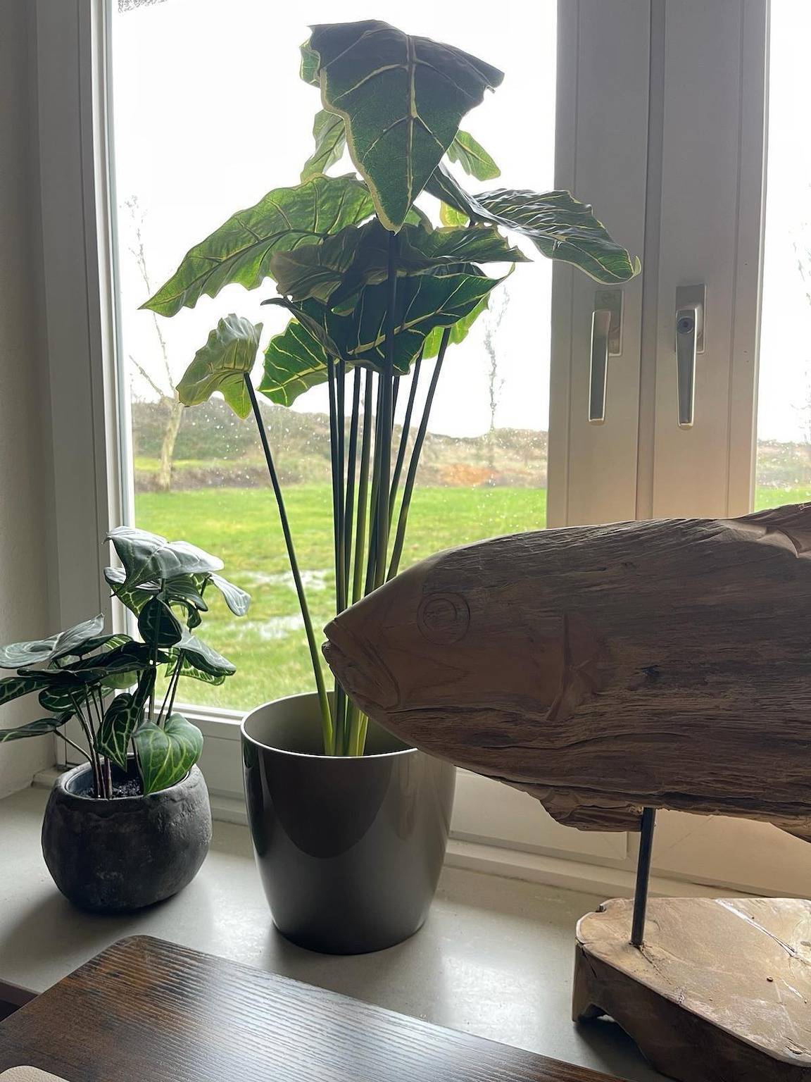 Ganze Ferienwohnung, Rotbarsch in St. Peter-Ording, Eiderstedt