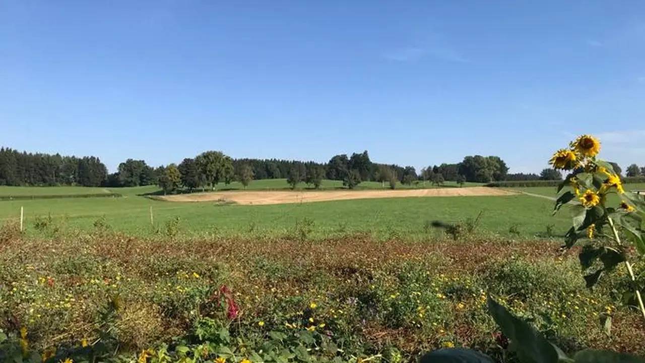 Ganze Ferienwohnung, Ferienwohnung für 7 Personen (117 m²) in Bad Wurzach in Bad Wurzach, Region Bodensee-Oberschwaben