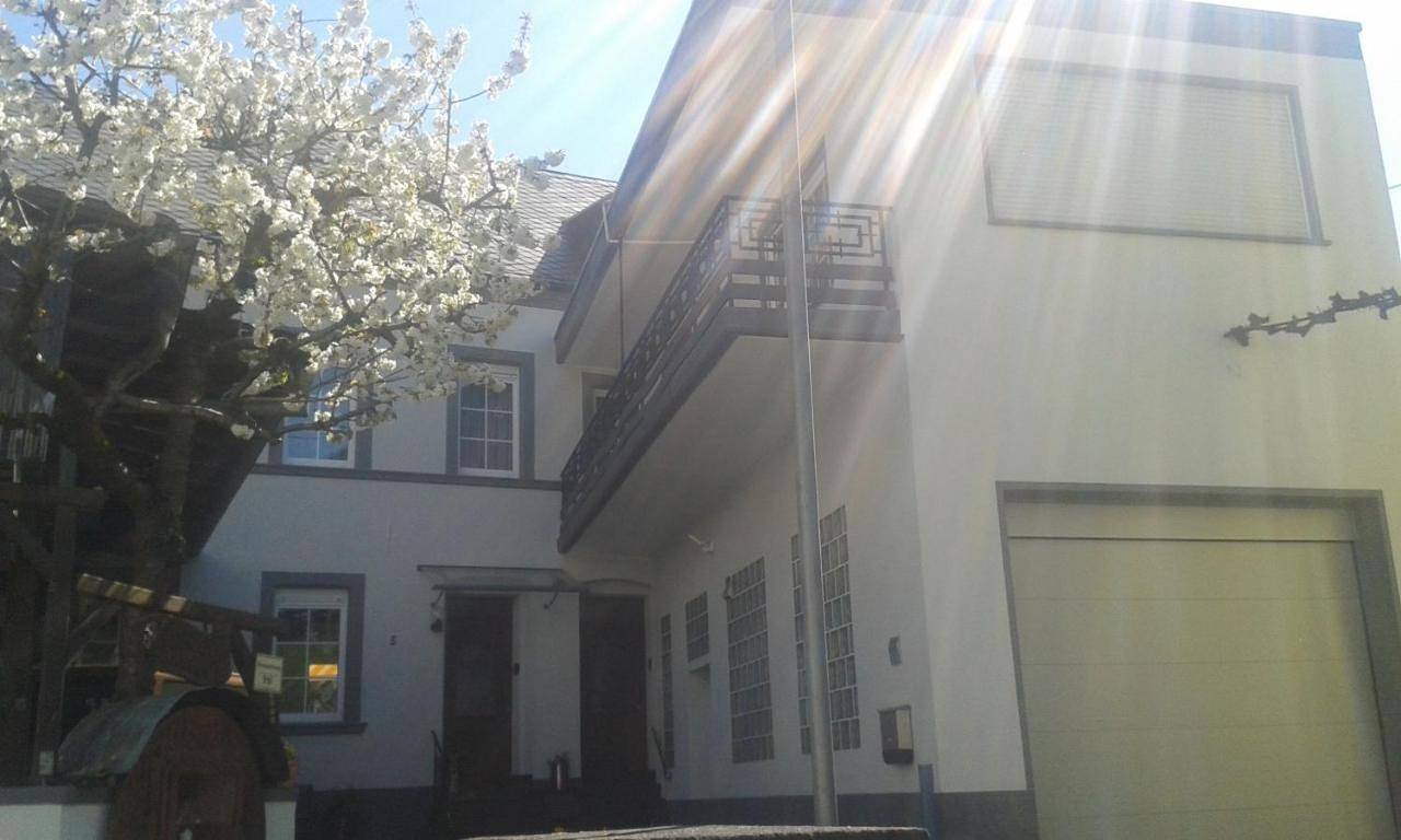 Ganze Wohnung, Apartment with Terrace in Ellenz-Poltersdorf, Cochem-Zell
