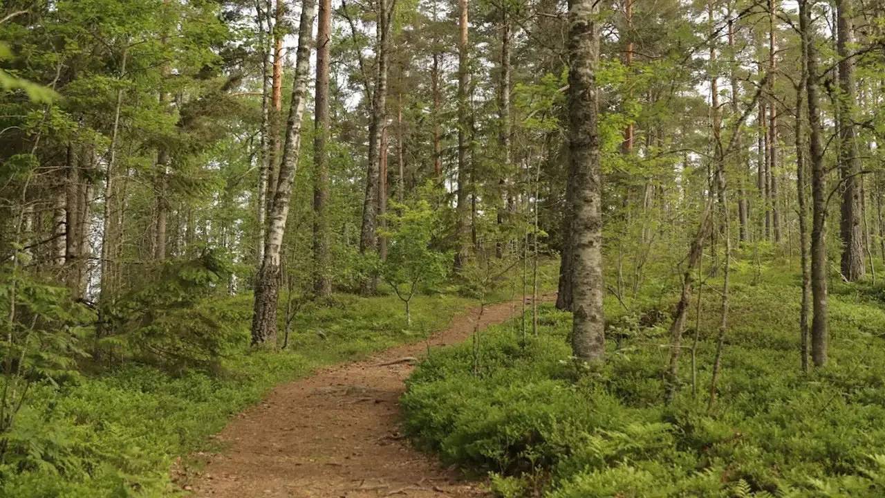Ferienhaus für 5 Personen (60 m²) in Tenhult in Jönköping, Jönköpings län