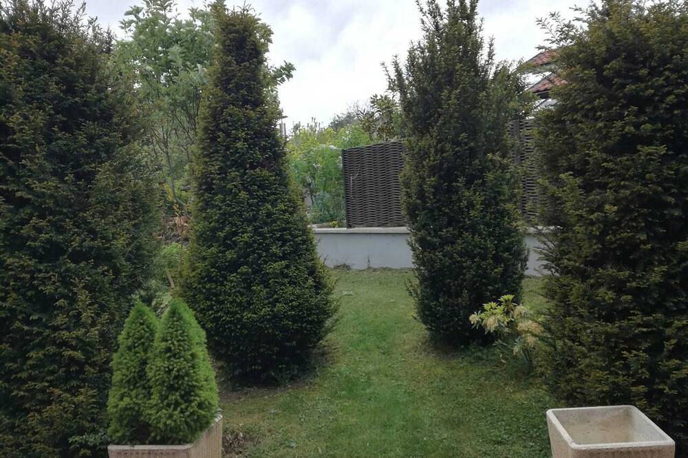 Homerez - Cozy chalet near Viry with terrace and fireplace in Viry, Saint-Julien-en-Genevois region