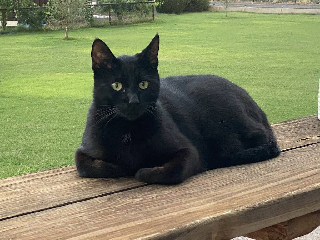 Cabernet Cottage in Cottonwood (AZ), Coconino Nationalwald