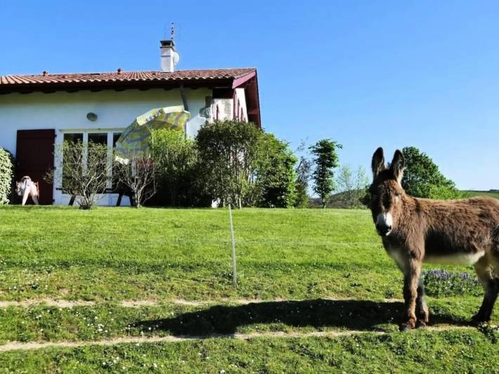 Gîte pour 2 personnes à Louhossoa - 2
