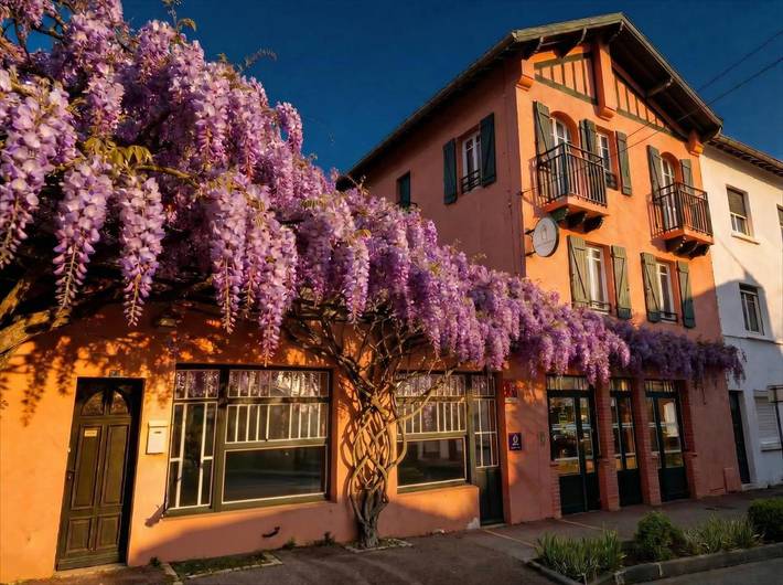 Hôtel pour 2 personnes, avec jardin, animaux acceptés