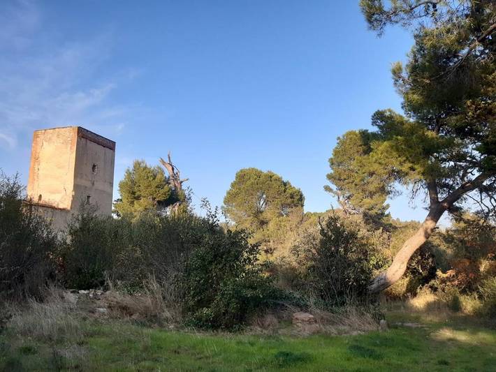 Gîte pour 2 personnes, avec vue et jardin à Trouillas - 3