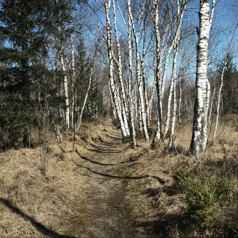 Ganze Ferienwohnung, Bachwagnerhof - Ferienwohnung Simon, 90 m², 2-6 Personen, Wohnküche, 3 Schlafzimmer, Du/Wc + Wc, Balkon in Staudach-Egerndach, Chiemsee