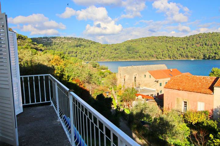Ganze Wohnung, Apartments Nodilo - One Bedroom Apartment with Balcony and Sea View (Apt 1) in Mljet