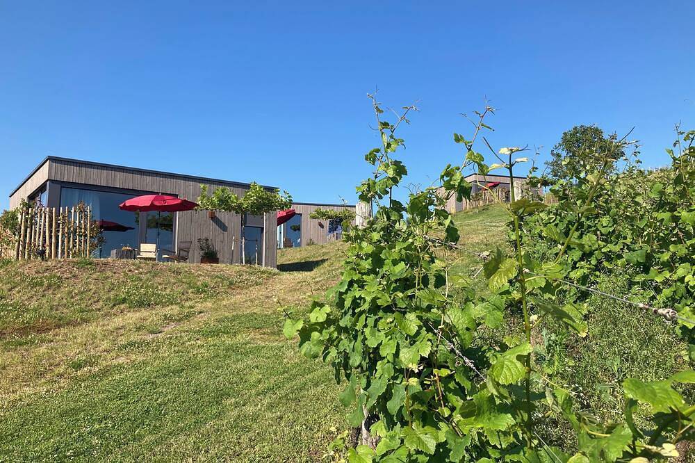 Moselhoch Ferienhäuschen in den Weinbergen von Klüsserath in Klüsserath, Moseleifel