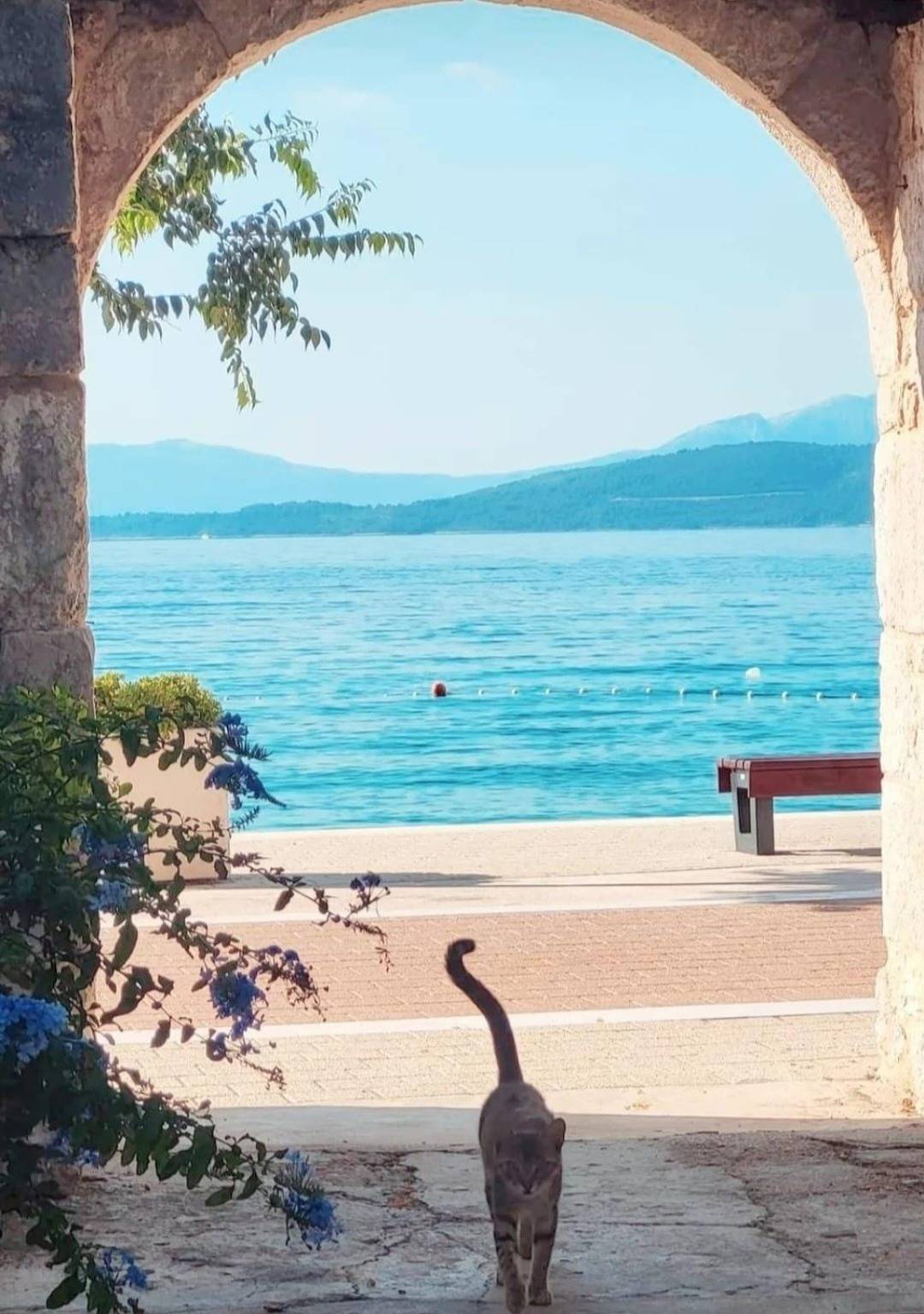 Ganze Wohnung, Apartments by the sea Igrane, Makarska - 10033 in Igrane, Makarska Riviera