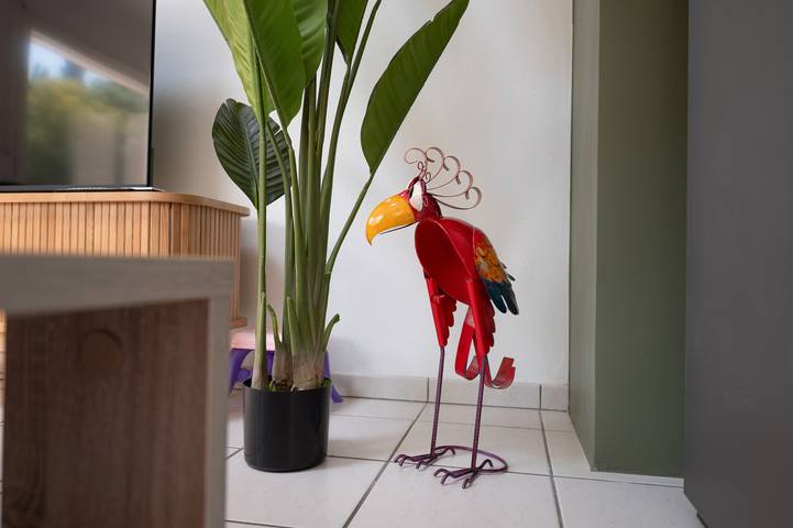 Location de vacances pour 8 personnes, avec jacuzzi et jardin à Kervignac - 4