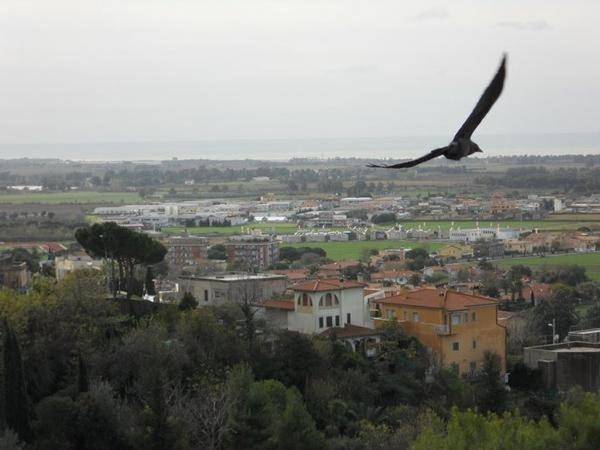 B&b per 5 persone, con Terrazza e Panorama a Tarquinia