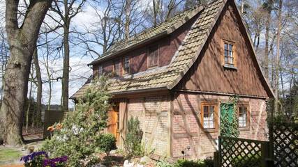 Ferienhaus für 6 Personen in Neuenkirchen (Lüneburger Heide), Landkreis Heidekreis, Bild 4