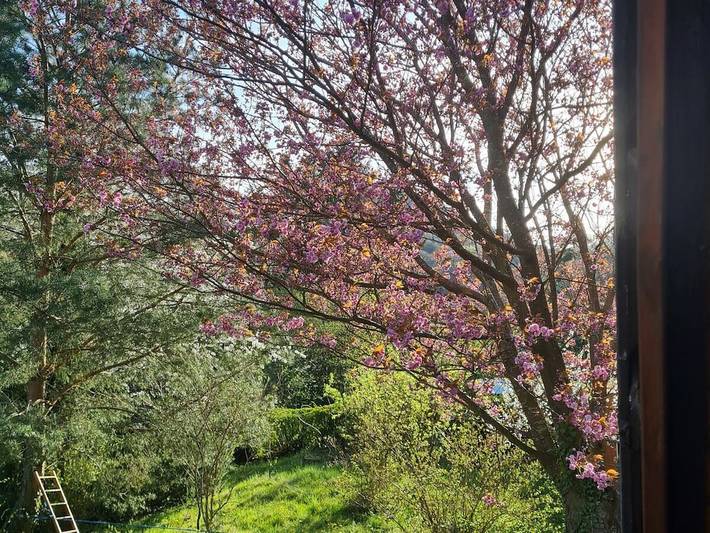Ferienhaus für 6 Personen, mit Garten und Terrasse im Pfälzer Wald - 4
