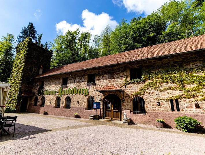 Hôtel pour 3 personnes, avec jardin ainsi que terrasse et jacuzzi, animaux acceptés à Andlau