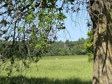 Camping for 7 Guests in Wisconsin, USA, Picture 4