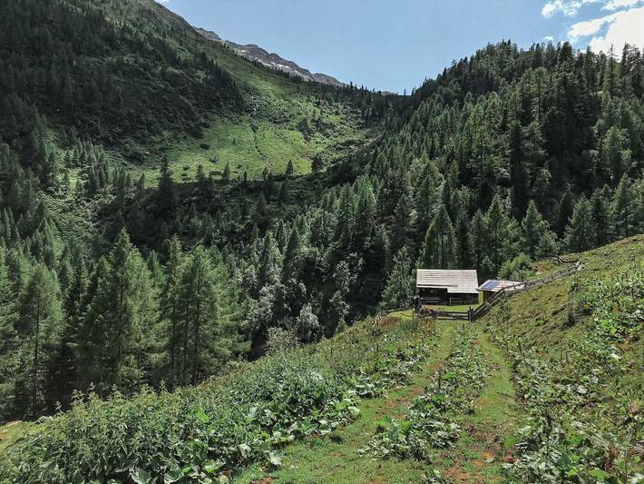 Ganze Ferienwohnung, Berghütte Ploatschtratten in Hohe Tauern, Reißeck