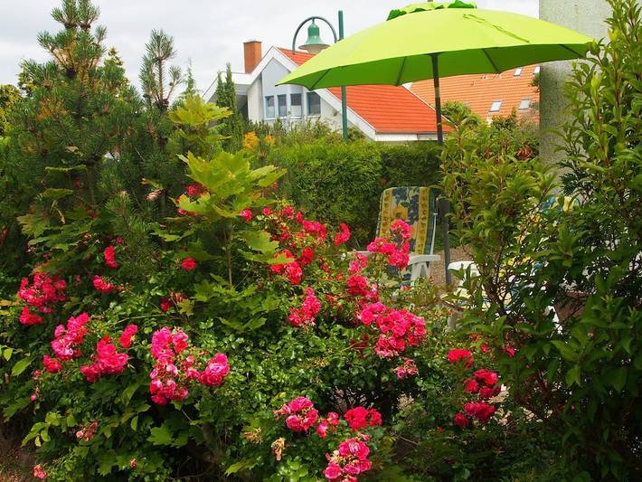 Bauernhof für 4 Personen, mit Terrasse in Rerik