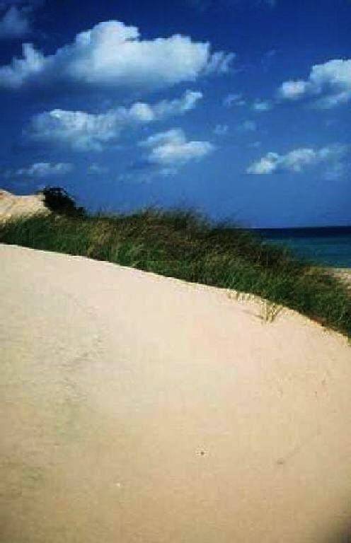 Appartement entier, Dolce Bungalow R5915 in Spiaggia di Porto Columbu, Sarroch