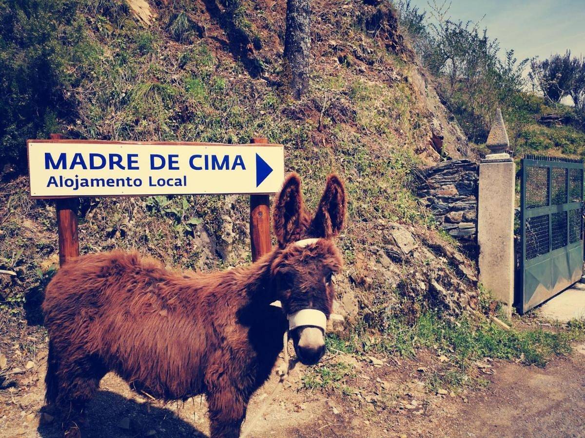 Alojamento Local Madre de Cima in Travanca e Santa Cruz, Montesinho