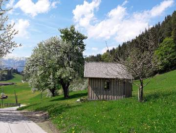 Ferienwohnung für 2 Personen in Brixlegg, Ski Juwel Alpbachtal Wildschönau, Bild 2