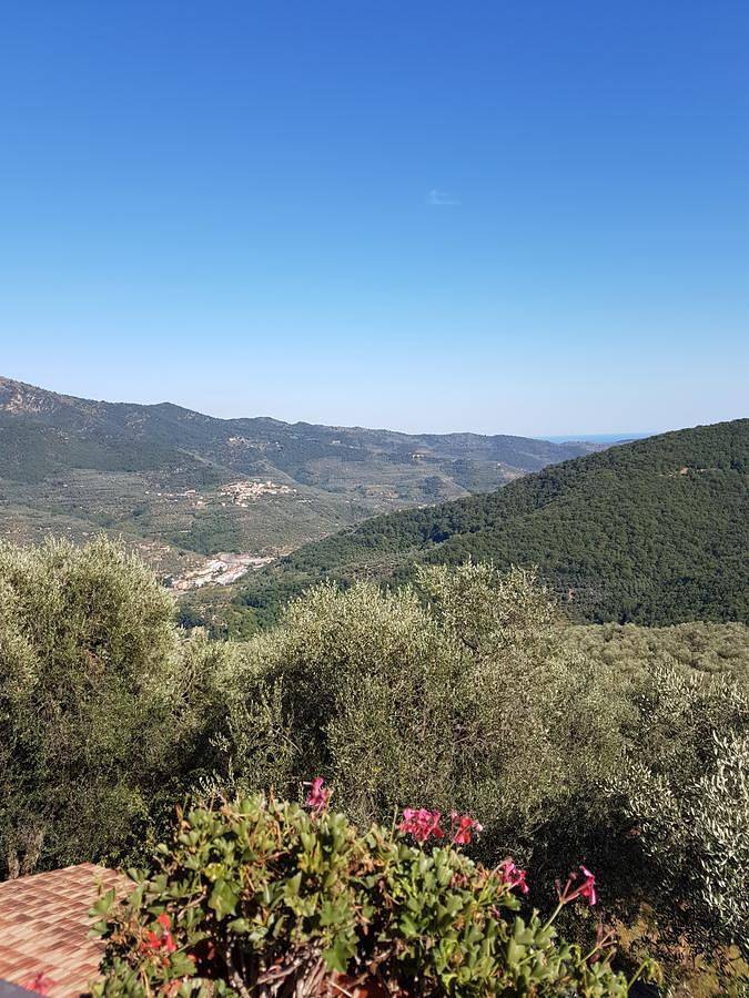 Gîte pour 5 personnes, avec vue et jardin à Lucinasco - 3