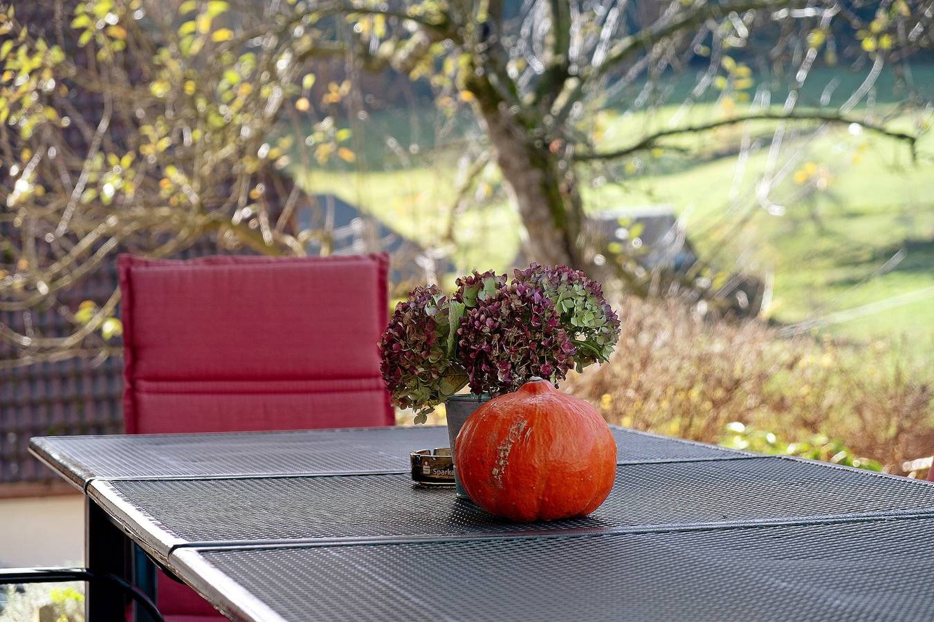 Apartamento entero, Apartamento 'Bergwiese, 75 m²' con vistas a la montaña, terraza privada y Wi-Fi in Elzach, Selva Negra Central