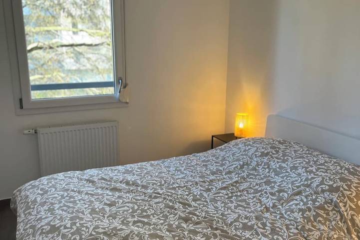 Apartamento entero, Bright and modern furnished T2 - in Estrasburgo, Región de Estrasburgo