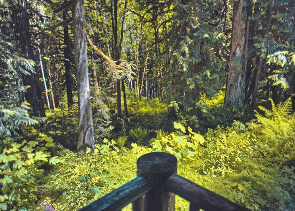 Bear Den Log Cabin - Classic Family Mountain Retreat, Fireplace, Dogs Welcome in Welches, Mount Hood