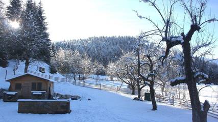 Ferienwohnung für 4 Personen in Windischgarsten, Kirchdorf an der Krems (Bezirk), Bild 3