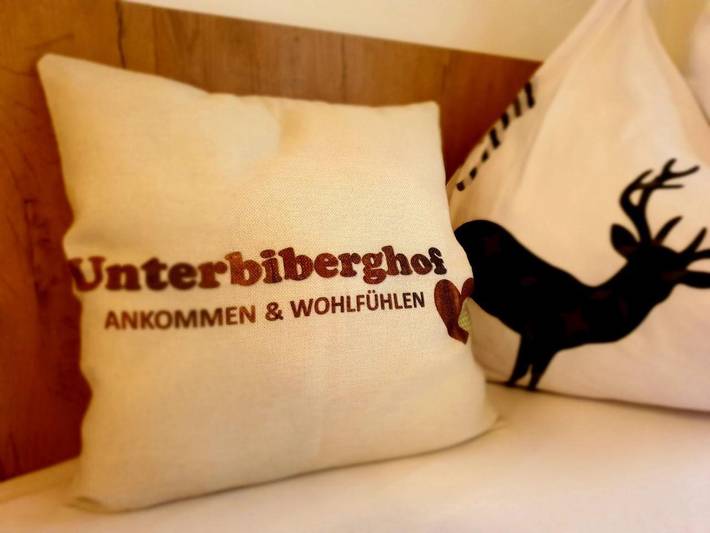 Bauernhaus für 3 Personen, mit Terrasse und Garten im Salzburger Land - 2