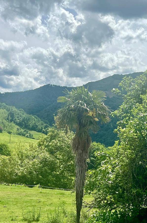 Location de vacances pour 10 personnes, avec vue et jardin ainsi que piscine et terrasse à Espelette - 3