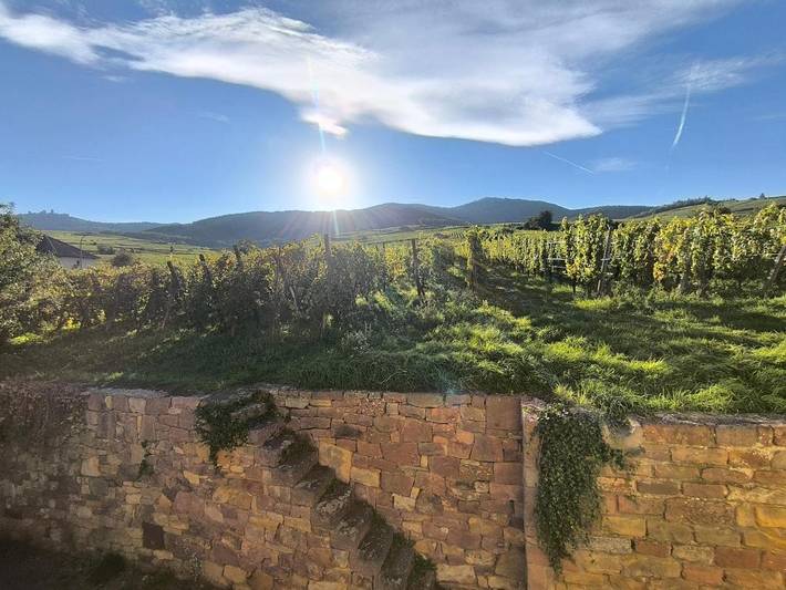 Location de vacances pour 4 personnes, avec terrasse et vue à Wettolsheim