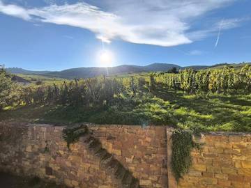 Location de vacances pour 4 personnes, avec terrasse et vue à Wettolsheim