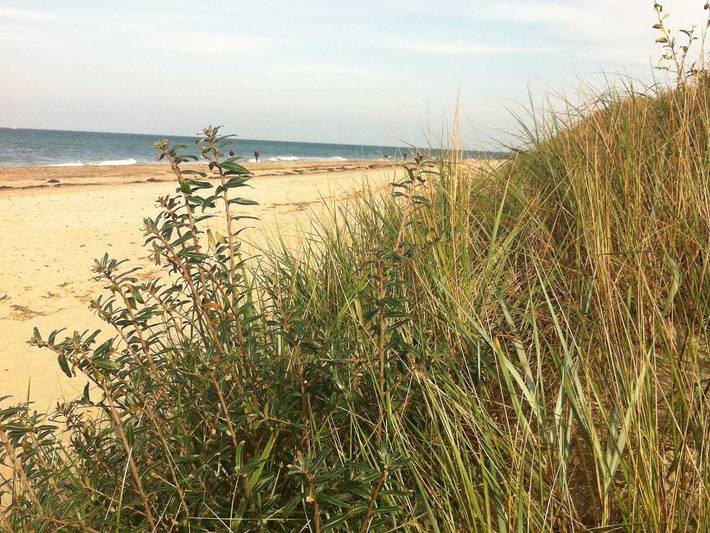 Ferienwohnung für 4 Personen, mit Garten in Neubukow-Salzhaff - 3